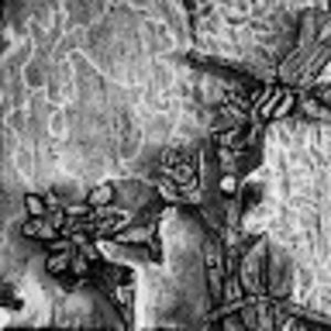 Meet your Posher, Valeria